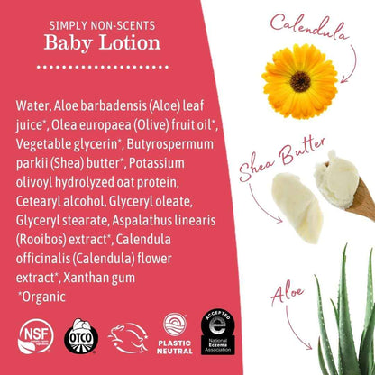 Earth Mama - Simply Non-Scents Baby Lotion for Dry Skin - 240 ml 🍁 All In One Marketplace Canada
