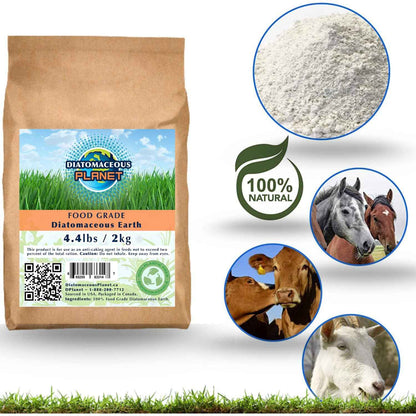 Diatomaceous Planet a Proudly Canadian Company, 2 KG / 4.4 LB All Natural, Organic Food Grade Powder, Enriched Fossil Powder by Diatomaceous Planet 🍁 All In One Marketplace Canada