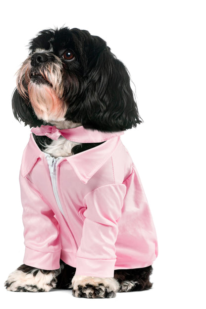 Rubies Grease 40th Anniversary Pet Pink Ladies Jacket for Themed Parties and Halloween, X-Small