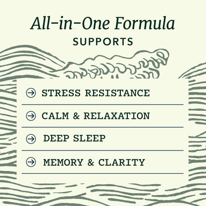 L Theanine, Magnesium Glycinate + Ashwagandha Supplement | Relaxation, Sleep & Memory Support | Stress Relief, Calm, Mood & Sleep Supplements | Made in Canada & Non-GMO | 120 Ct 🍁 All In One Marketplace Canada