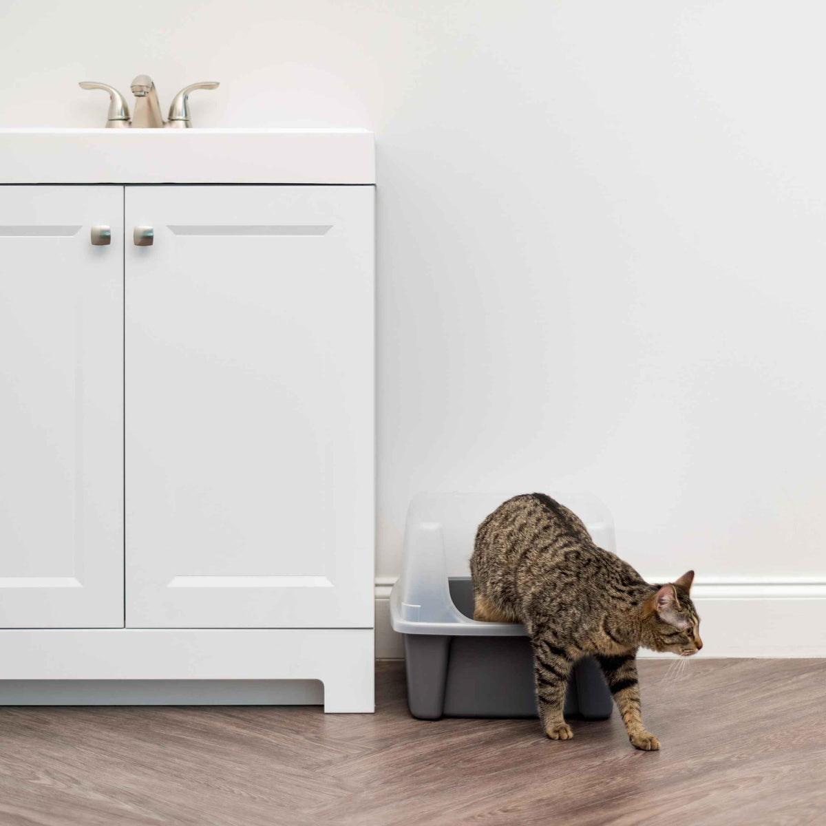 IRIS USA Large Cat Litter Box with Scatter Shield and Scoop, Open Top High Sided Cat Litter Pan, Gray 🍁 All In One Marketplace Canada