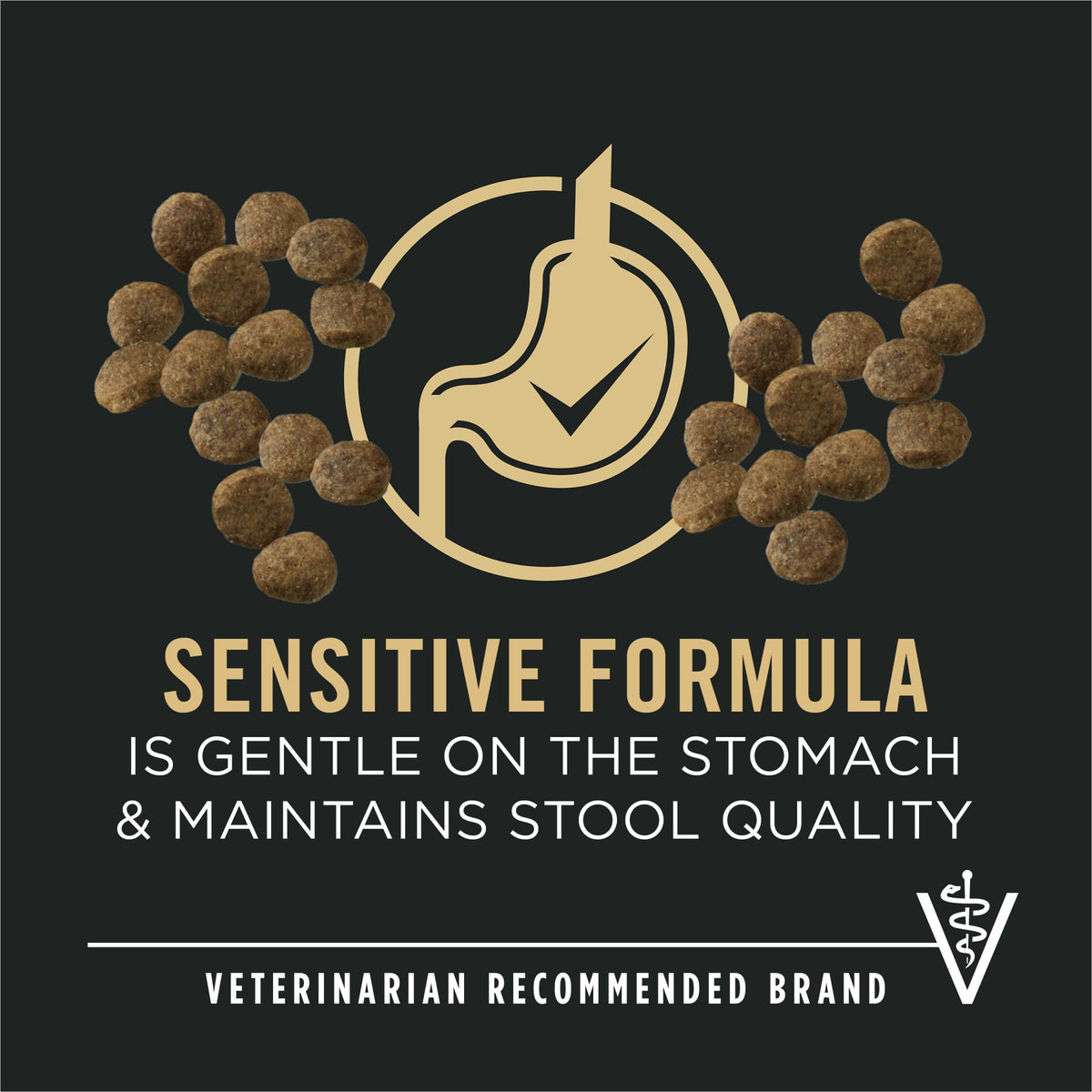 Purina Pro Plan Dry Puppy Food, Development Sensitive Skin & Stomach Salmon & Rice - 1.81 kg Bag (1 Pack) 🍁 All In One Marketplace Canada