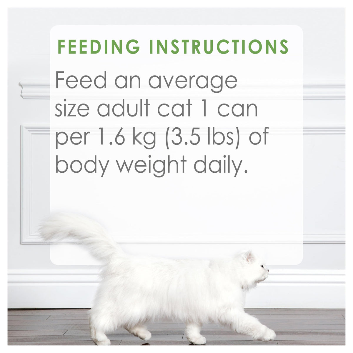 Fancy Feast Medleys Wet Cat Food, Shredded White Meat Chicken Fare - 85 g Can (24 Pack) 🍁 All In One Marketplace Canada
