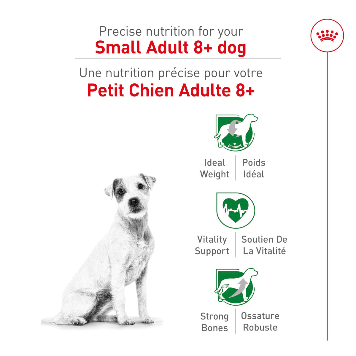 Royal Canin Small Adult 8+ Dry Dog Food, 2.5 lb bag 🍁 All In One Marketplace Canada