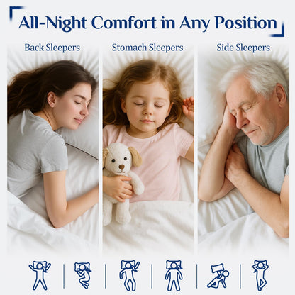 JOLLYVOGUE Pillows Queen Size 2 Pack for Sleeping, Soft and Supportive Bed Pillow for Side and Back Sleeper, Down Alternative Hotel Collection Pillows-20 x30 🍁 All In One Marketplace Canada