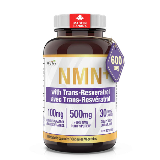 Herba NMN Supplement with Resveratrol – 500mg + 100mg | 100% Purity β-NMN & >99% Resveratrol | NAD Supplement Canada Made | NAD+ Precursor | 30 Capsules 🍁 All In One Marketplace Canada