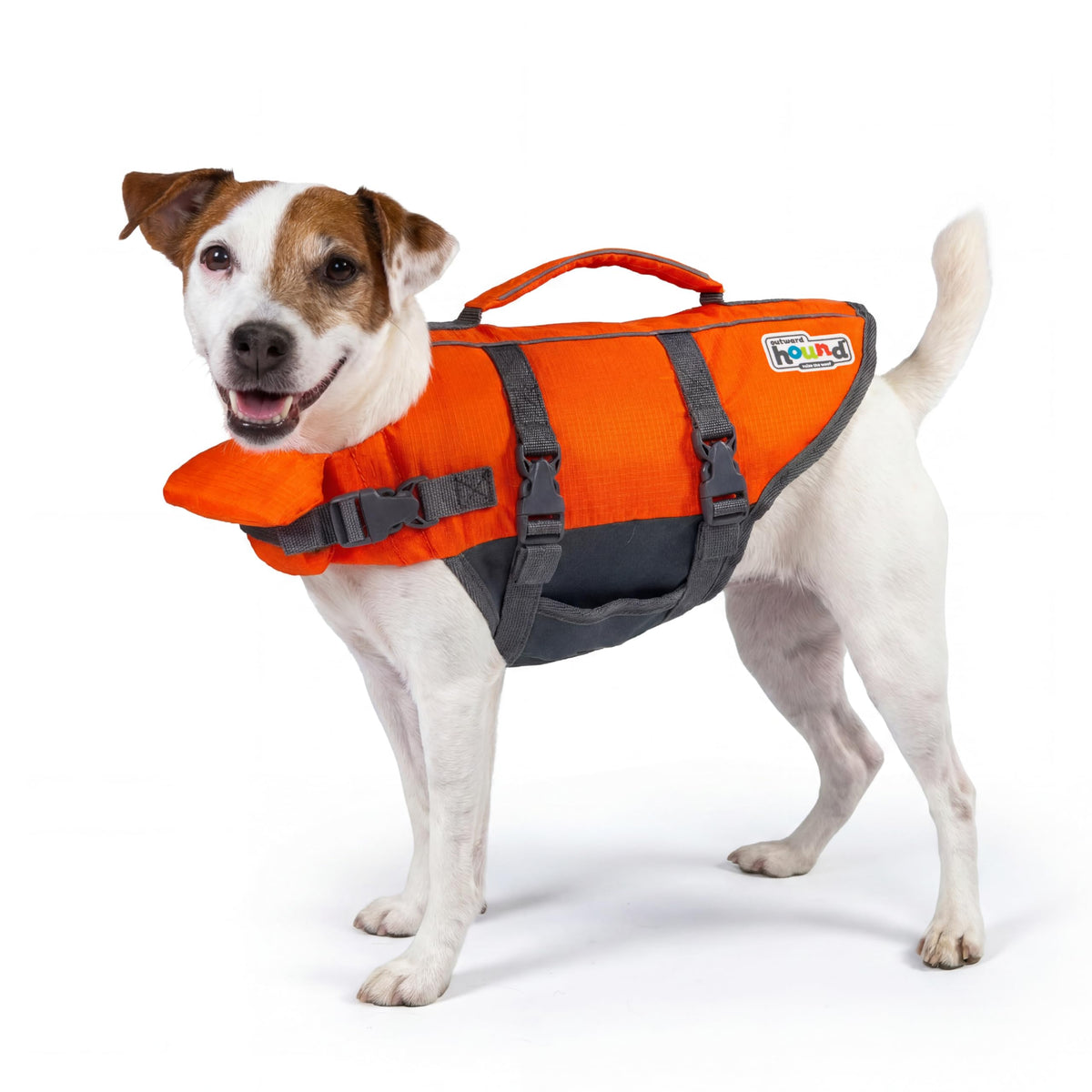 Outward Hound Granby Splash Dog Life Jacket with Handle, Reflective Floating Vest for Swimming & Boating, Maximum Buoyancy, All Skill Levels, Small Dogs & Puppies (16–20" Girth), Orange, Small 🍁 All In One Marketplace Canada