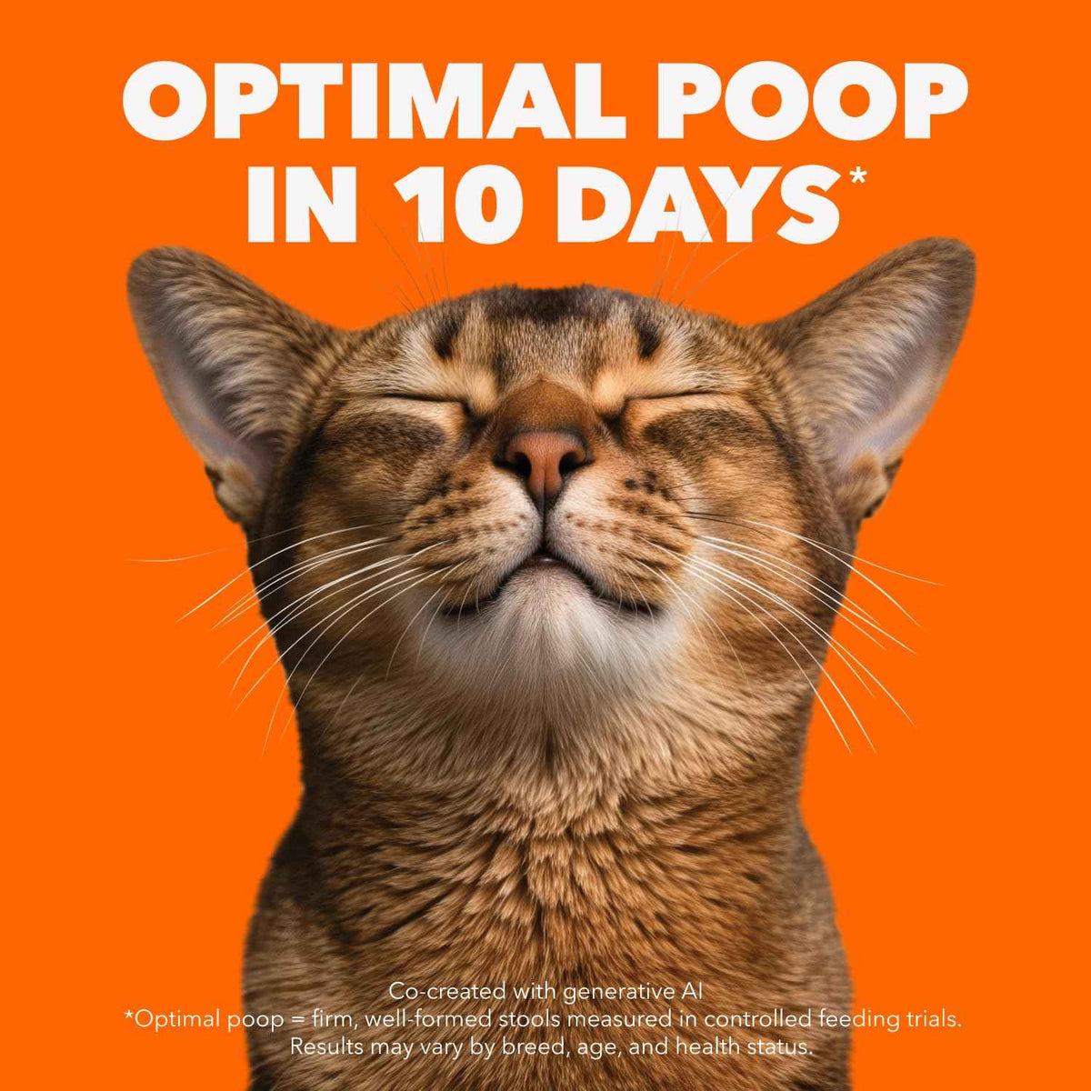 IAMS Proactive Health Senior Dry Cat Food, Chicken Flavour, 3.18kg 🍁 All In One Marketplace Canada
