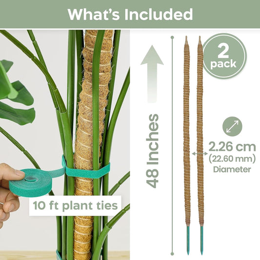 K-Brands 2 Pack 48 Inches Bendable Moss Pole Monstera Plant Support for Climbing Indoor Plants - Stakes for Potted Climbers - Tall Sticks Indoor Trellis for Houseplants - Accessories for Monstera Pot 🍁 All In One Marketplace Canada