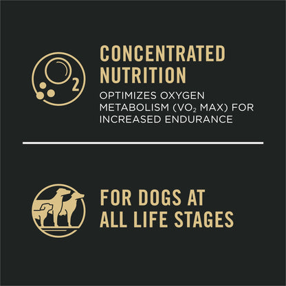 Purina Pro Plan Dry Dog Food, Sport, Performance 30/20 Salmon and Rice Formula, 33-Pound Bag, Pack of 1 🍁 All In One Marketplace Canada