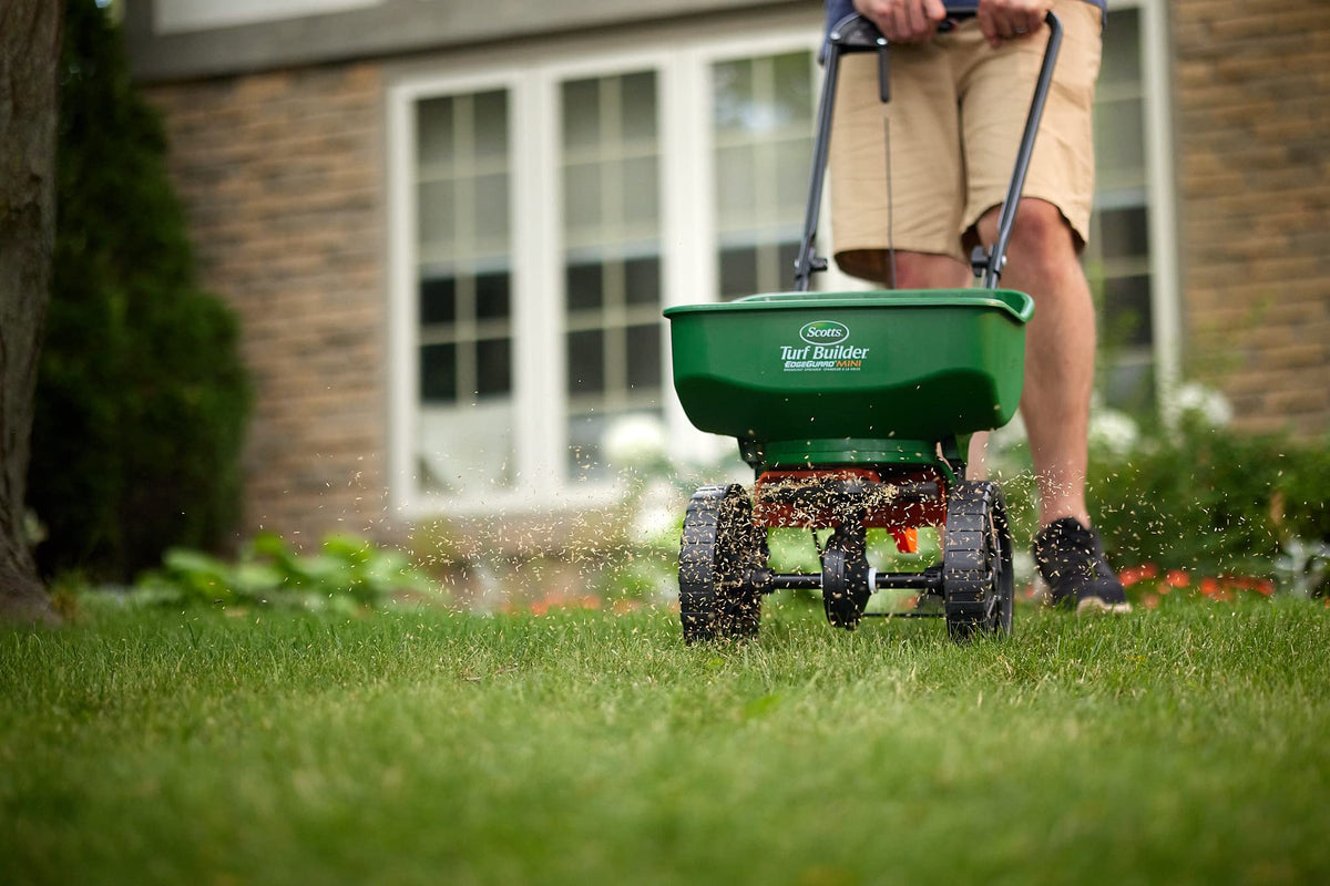 Scotts Grass Seed All Purpose Mix, 5kg (900 sq Meters / 9,683 sq feet Coverage) | Grows in Sun & Shade, Fast Germination | New Lawn or Overseeding Existing Lawn 🍁 All In One Marketplace Canada