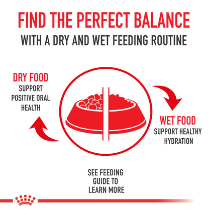 Royal Canin Appetite Control Spayed/Neutered 12+ Dry Adult Cat Food, 7 lb Bag 🍁 All In One Marketplace Canada