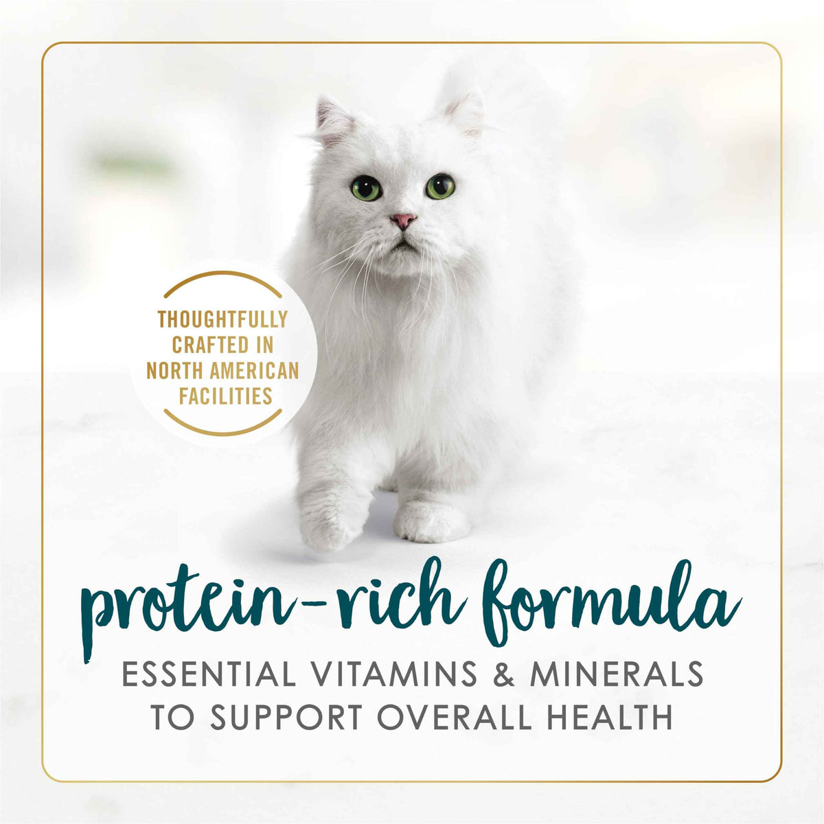 Fancy Feast Wet Cat Food, Pate Salmon & Shrimp Feast - 85 g Can (24 Pack) 🍁 All In One Marketplace Canada