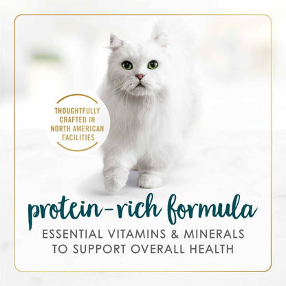 Fancy Feast Wet Cat Food, Pate Salmon & Shrimp Feast - 85 g Can (24 Pack) 🍁 All In One Marketplace Canada
