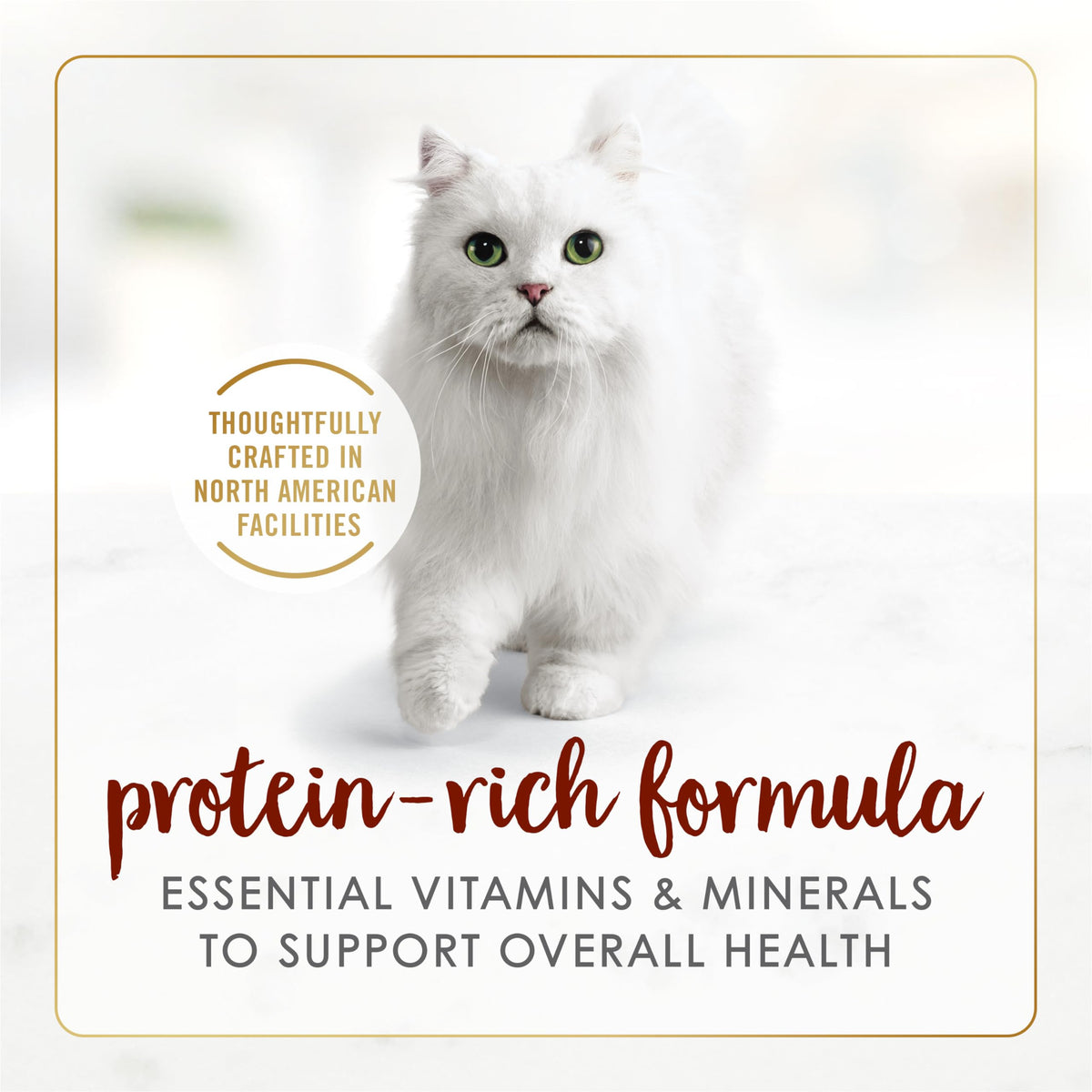 Fancy Feast Wet Cat Food, Pate Beef Flavour - 85 g Can (24 Pack) 🍁 All In One Marketplace Canada