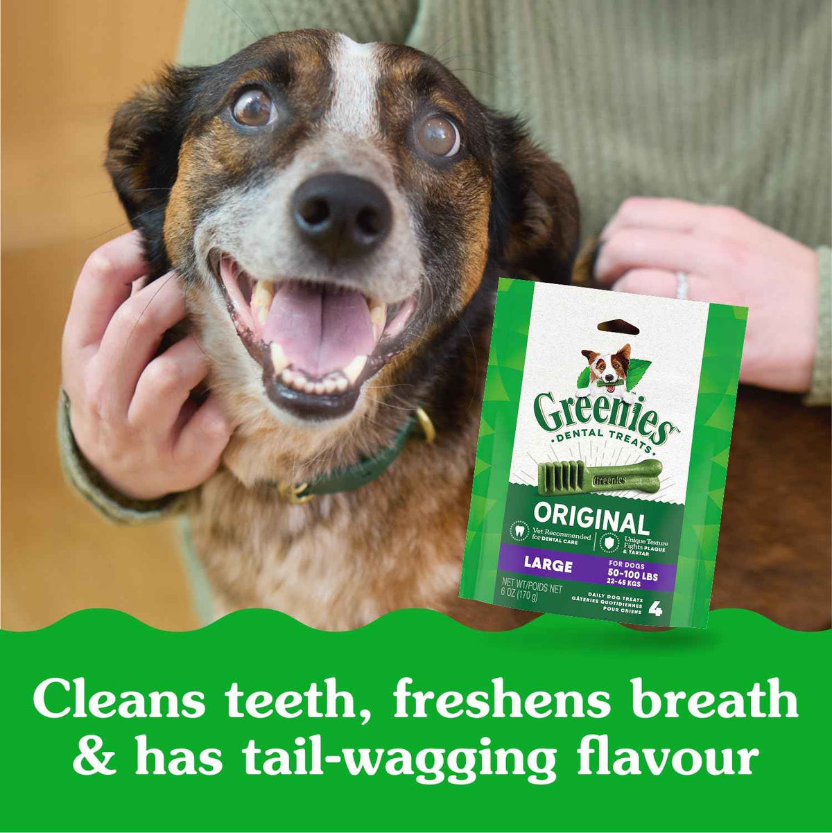 Greenies Adult Dog Treats, 1.02kg 🍁 All In One Marketplace Canada