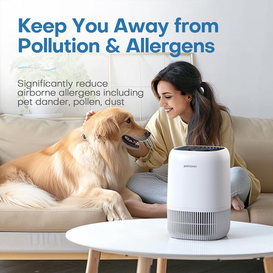 Air Purifiers for Bedroom Home, H13 True HEPA Filter with Fragrance Sponge for Smoke, Allergies, Pollen, Pet Dander, Odor, Dust, Portable Air Purifier for Bedroom Office, MODEL MJ012H(WHITE) 🍁 All In One Marketplace Canada