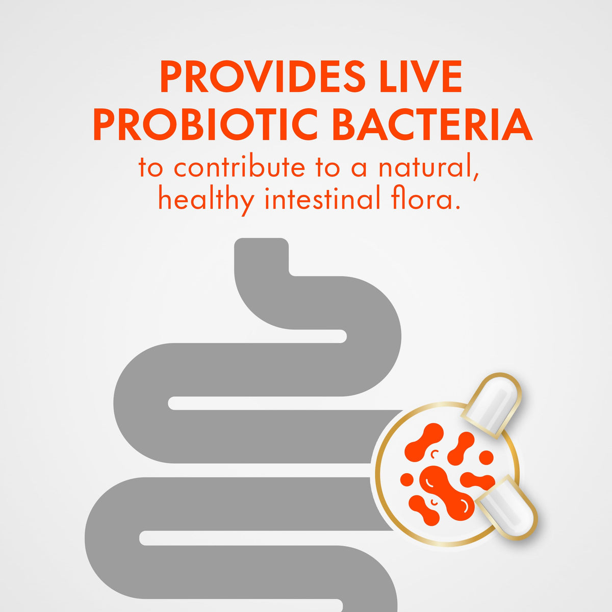 Align Probiotic Digestive Support, IBS Symptom Relief: Gas, Abdominal Discomfort, Bloating, Helps Healthy Intestinal Flora for Women & Men, 28 Capsules 🍁 All In One Marketplace Canada