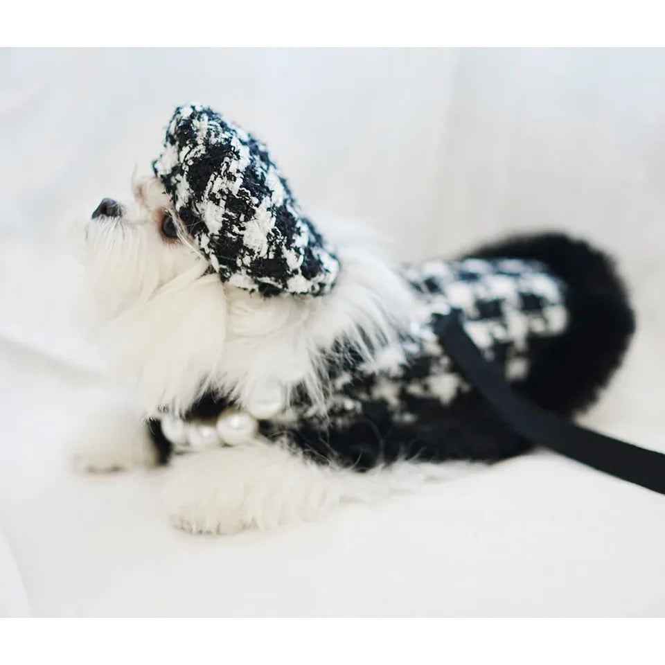 Grandmaster Tweed Dog Harness Set | Harness Hat and Leash Outfit