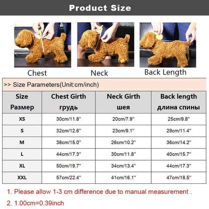 Disco Suit