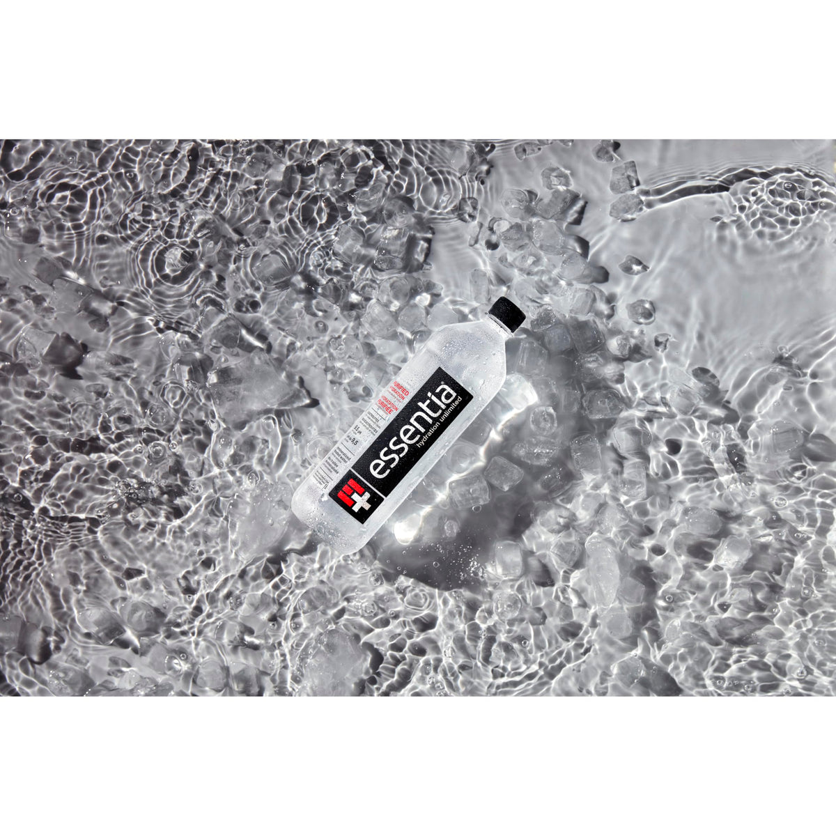 Essentia Ionized Alkaline Water, 9.5 pH or Higher, 12 Bottles, 1 L 🍁 All In One Marketplace Canada