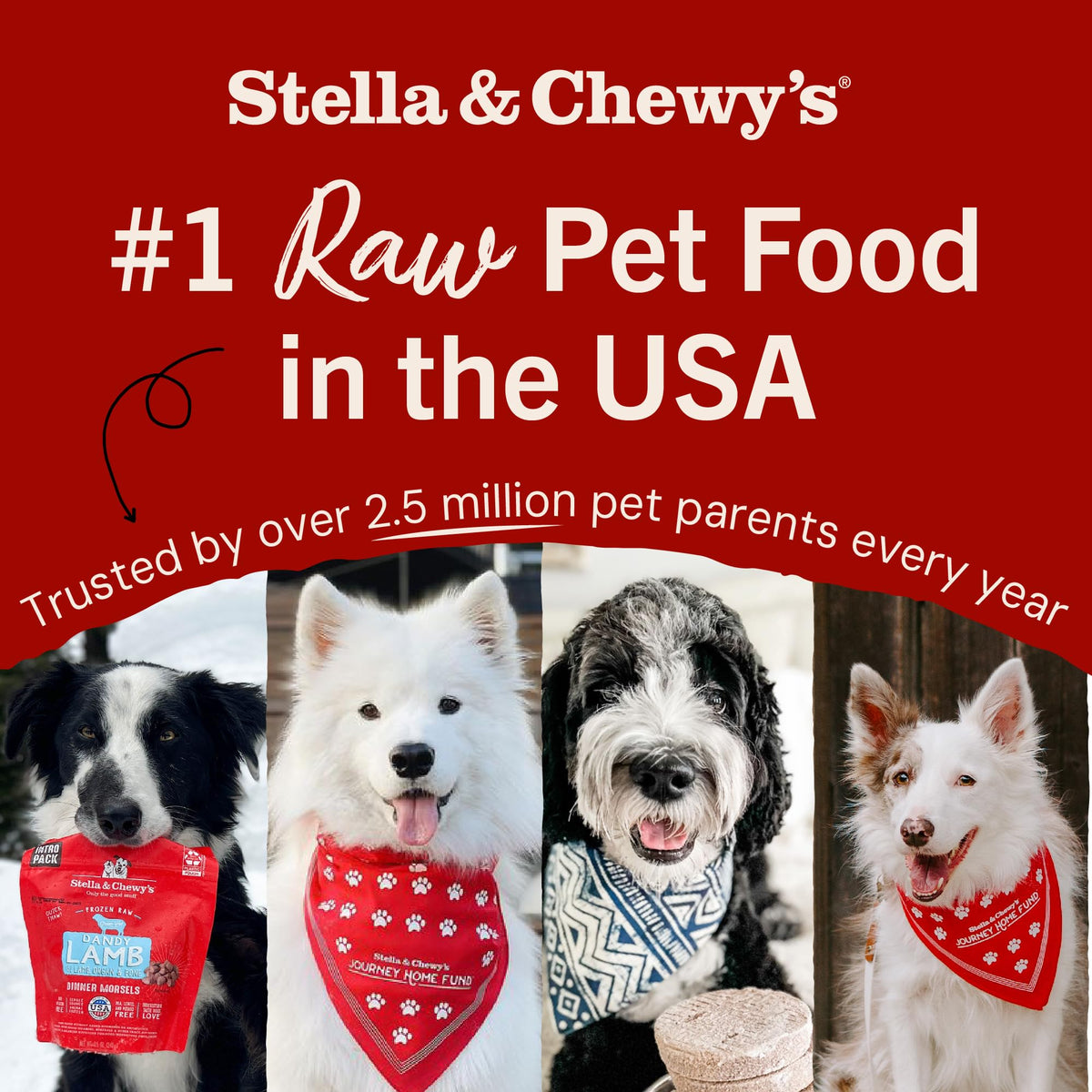 Stella & Chewy's Freeze-Dried Raw Grass-Fed Beef Recipe Marie's Magical Dinner Dust for Dogs, 198g Bag 🍁 All In One Marketplace Canada
