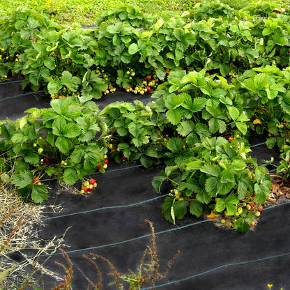 VEVOR 6FTx300FT Premium Weed Barrier Fabric Heavy Duty 2.4OZ, Woven Weed Control Fabric, High Permeability Good for Flower Bed, Geotextile Fabric for Underlayment, Polyethylene Ground Cover 🍁 All In One Marketplace Canada