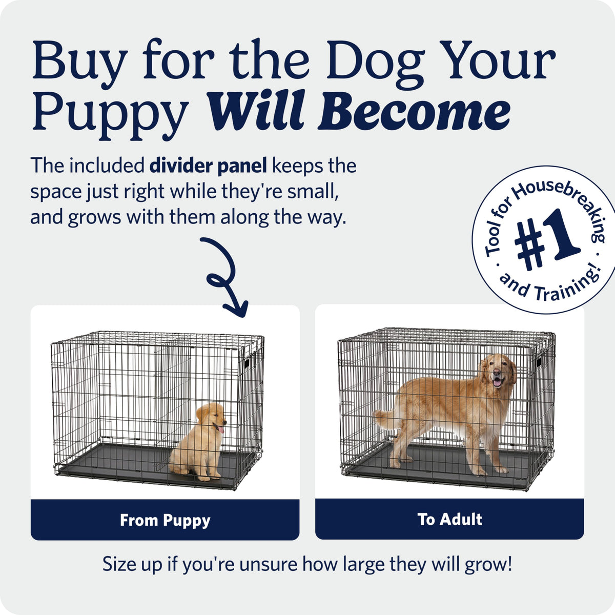 MidWest Homes for Pets 24-Inch iCrate for Small Breeds, 12-20 lbs, Single Door Folding Dog Crate with Divider Panel, Leak-Proof Tray & Secure Latch, Portable, Durable & Easy to Assemble 🍁 All In One Marketplace Canada