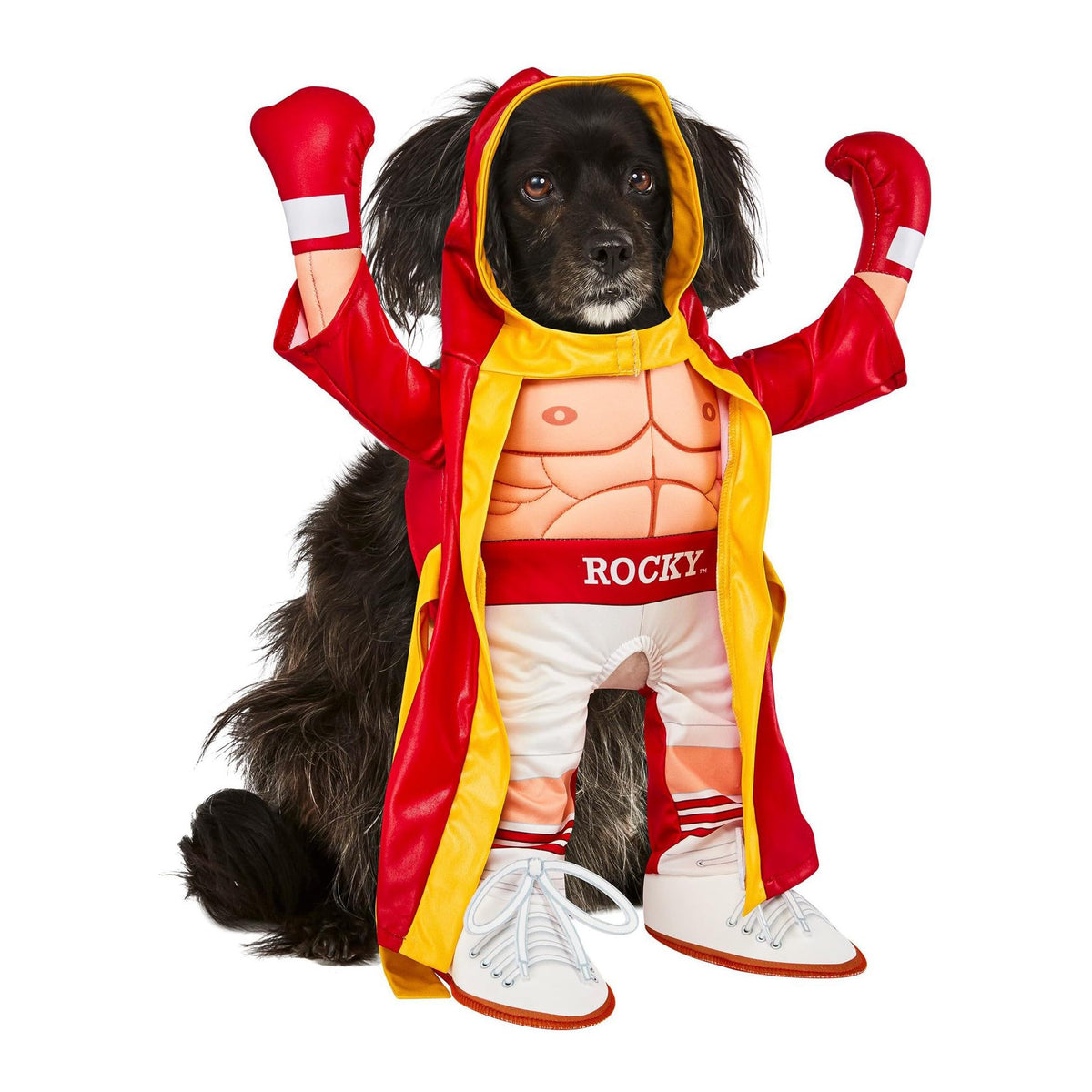 Rubies Rocky Pet Costume for Themed Parties and Halloween, As Shown, Medium, As Shown, Medium