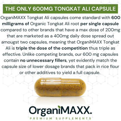6X Strength Tongkat Ali 600 MG PER SINGLE CAPSULE 60,000 MG Equivalent 100:1 Extract Ratio Highest Potency, OrganiMAXX Longjack Eurycoma Longifolia Non-GMO Premium Tongkat Ali Supplement For Men. 🍁 All In One Marketplace Canada