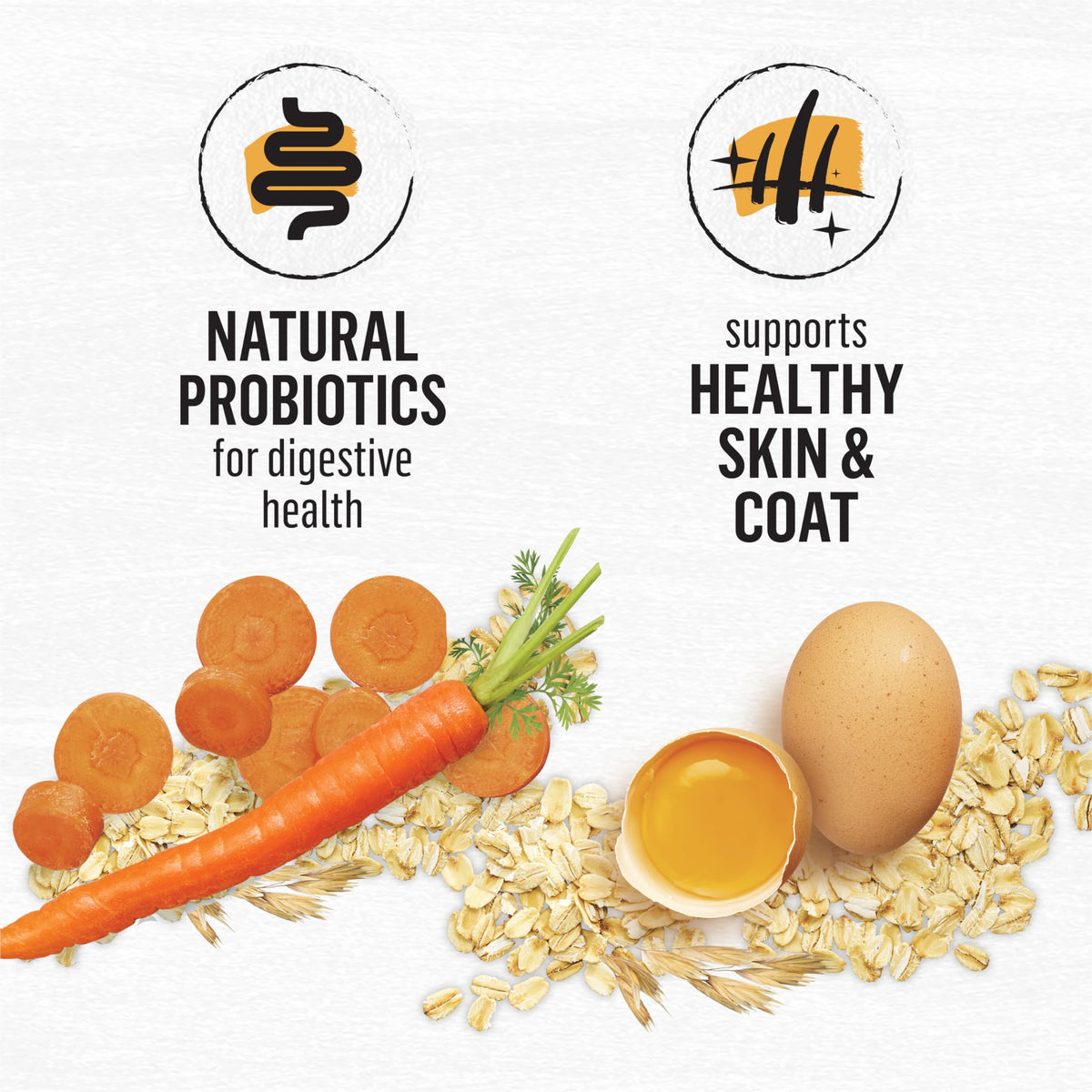 Beyond Dry Cat Food, Chicken & Whole Oatmeal 2.72kg 🍁 All In One Marketplace Canada