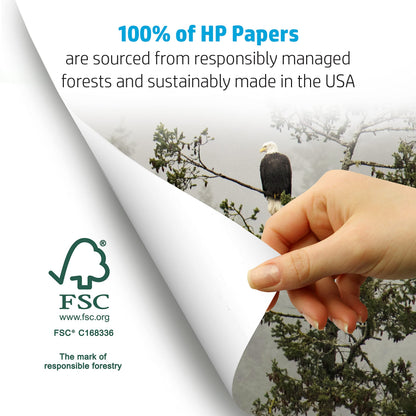 HP Printer Paper 8.5x11 Copy&Print 20 lb 5 Ream Case 2500 Sheets 92 Bright Made in USA FSC Certified Copy Paper HP Compatible 200350C 🍁 All In One Marketplace Canada