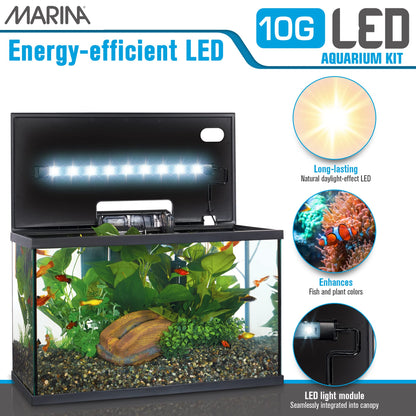 Marina LED Aquarium Kit, 10 Gallon, (15256A1) 🍁 All In One Marketplace Canada