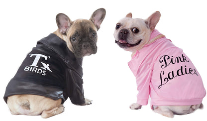 Rubies Grease 40th Anniversary Pet Pink Ladies Jacket for Themed Parties and Halloween, X-Small