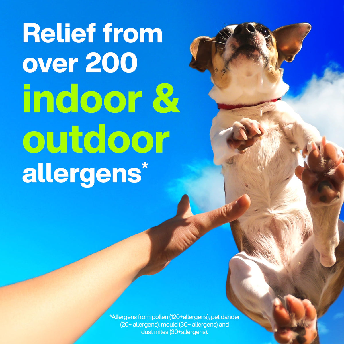 Claritin Allergy Medicine, 24-Hour Non-Drowsy Relief 10 mg, 50 Tablets 🍁 All In One Marketplace Canada