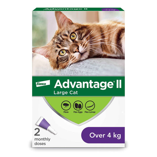 Advantage II Flea Protection for Large Cats weighing over 4 kg (over 9 lbs.) - 2 doses 🍁 All In One Marketplace Canada