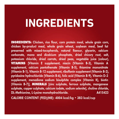 Purina ONE Dry Dog Food, Microbiome Balance Chicken & Rice - 14 kg Bag (1 Pack) 🍁 All In One Marketplace Canada
