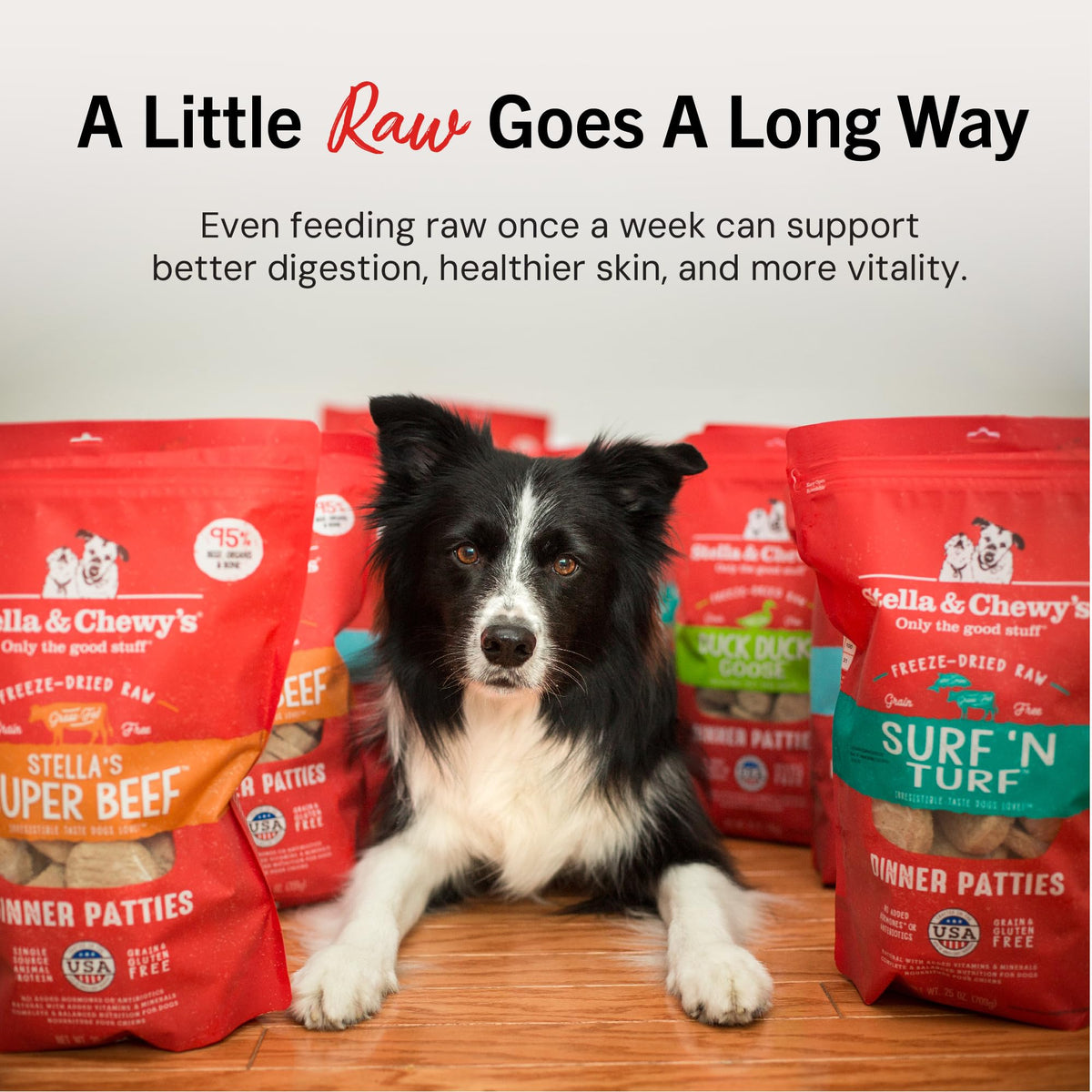 Stella & Chewy’s Freeze Dried Raw Dinner Patties – Grain Free Dog Food, Protein Rich Dandy Lamb Recipe – 156g Bag 🍁 All In One Marketplace Canada