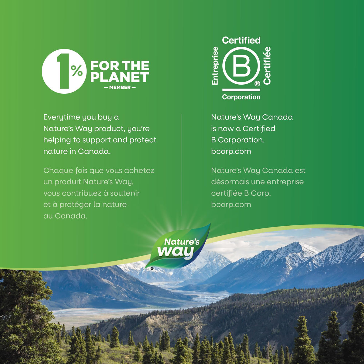 Nature’s Way Cayenne 40,000 HU – Herbal Digestion & Peripheral Circulation Supplement – Cayenne Pepper Capsules – Vegetarian, Non-GMO – 180 Capsules 🍁 All In One Marketplace Canada
