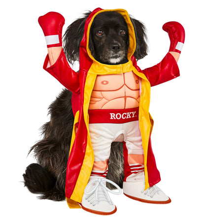 Rubies Rocky Pet Costume for Themed Parties and Halloween, As Shown, Large, As Shown, Large