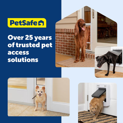 PetSafe 4-Way Locking Interior Cat Door - Tinted Privacy Door for Cat Litter Box or Pet Feeder, Built-in Door Lock, DIY Easy Install 🍁 All In One Marketplace Canada