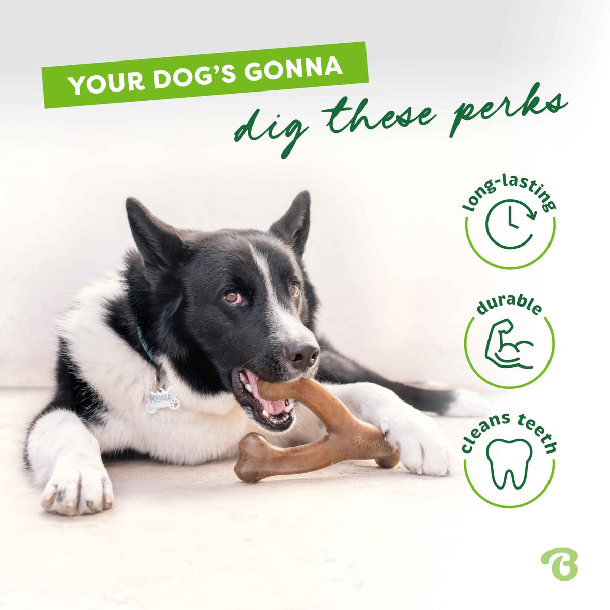 Benebone Wishbone Durable Dog Chew Toy for Aggressive Chewers, Real Chicken, Made in USA, Medium 🍁 All In One Marketplace Canada