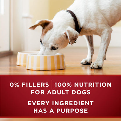 Purina ONE True Instinct Wet Dog Food, in Gravy Variety Pack 368g (6 Pack) 🍁 All In One Marketplace Canada