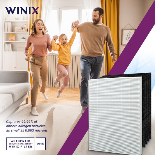 Genuine Winix 115115 Replacement Filter A for C535, 5300-2, P300, 5300, White/Black 🍁 All In One Marketplace Canada