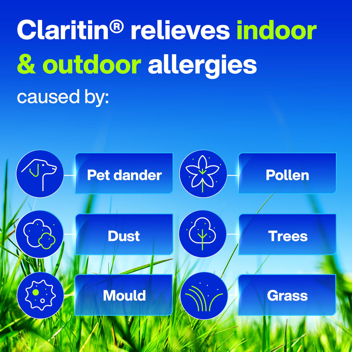Claritin Allergy Medicine, 24-Hour Non-Drowsy Relief 10 mg, 50 Tablets 🍁 All In One Marketplace Canada