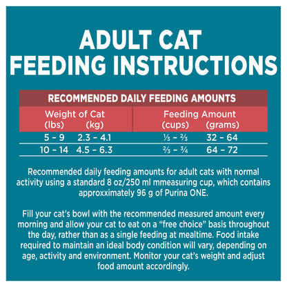 Purina ONE Dry Cat Food, Salmon & Rice Formula - 7.2 kg Bag 🍁 All In One Marketplace Canada