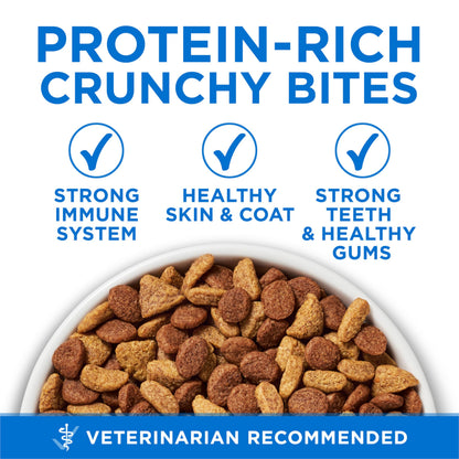 Purina ONE +Plus Dry Cat Food, High Protein with Salmon & Whitefish 3kg 🍁 All In One Marketplace Canada