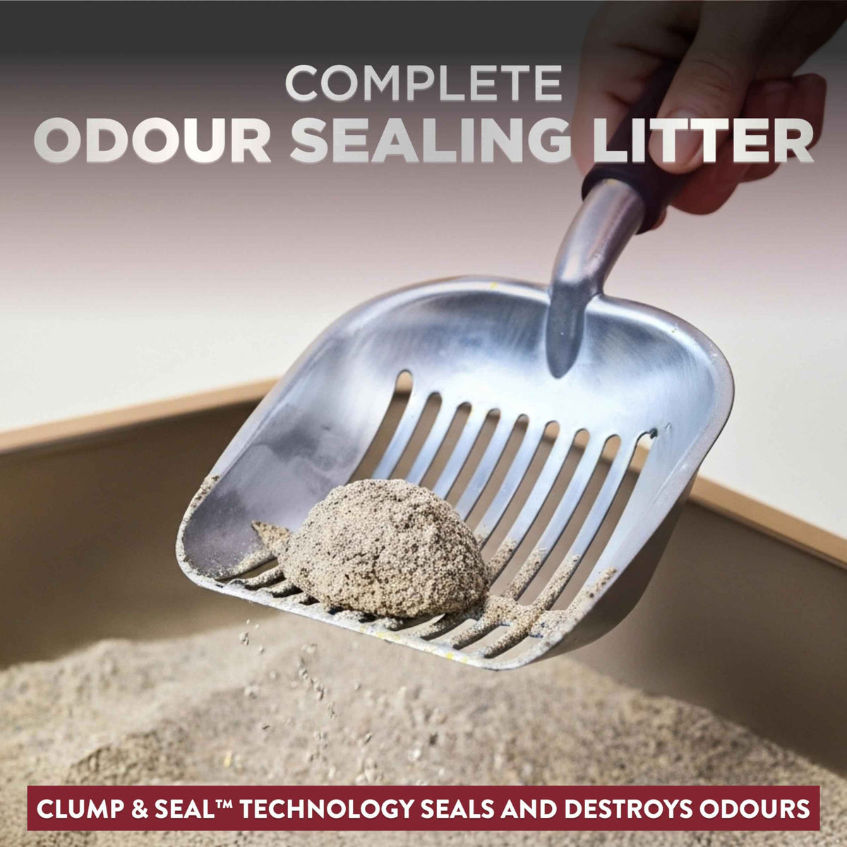 ARM & HAMMER Platinum Cat Litter, Clump & Seal, EXTRA STRENGTH Complete Odour Sealing with 14 Days of Odour Control, Multi-Cat, Hard Clumping Clay, 99.99% Dust Free, 18.14kg 🍁 All In One Marketplace Canada