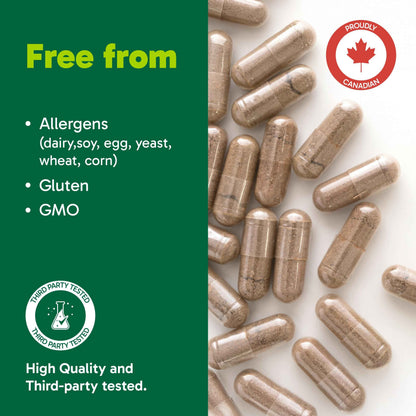 Organika Canadian-Made Chanca Piedra 500 mg - UTI Support | Kidney, Gallblader and Urinary Support, Cleansing- 90 vcaps 🍁 All In One Marketplace Canada