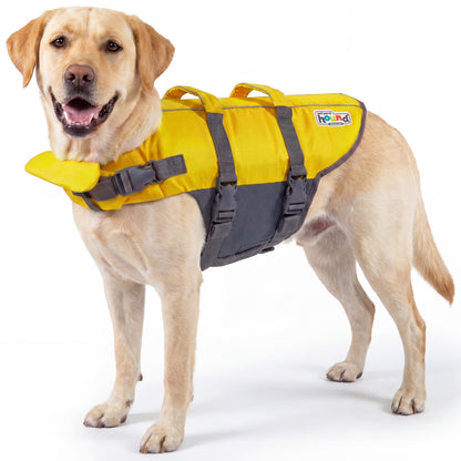 Outward Hound Granby Splash Dog Life Jacket with Handle, Reflective Floating Vest for Swimming & Boating, Maximum Buoyancy, All Skill Levels, Large Dogs (28–32" Girth), Yellow, Large 🍁 All In One Marketplace Canada